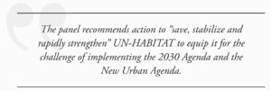Urbanization Panel of UN